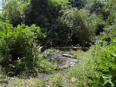 Picture 25